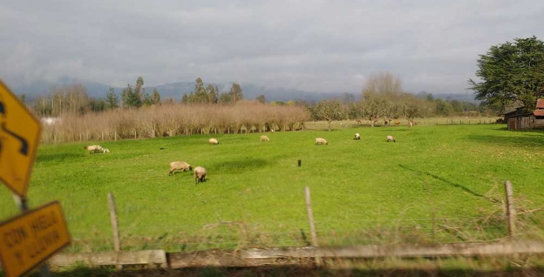 tierras_heredadas